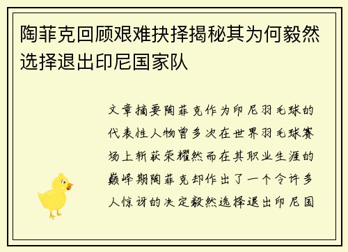 陶菲克回顾艰难抉择揭秘其为何毅然选择退出印尼国家队