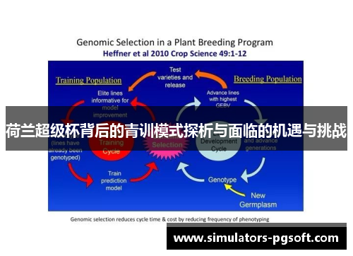 荷兰超级杯背后的青训模式探析与面临的机遇与挑战 荷兰超级杯背后的青训模式探析与面临的机遇与挑战