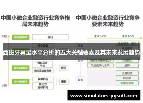 西班牙男足水平分析的五大关键要素及其未来发展趋势
